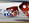 Paradise 8 Casino